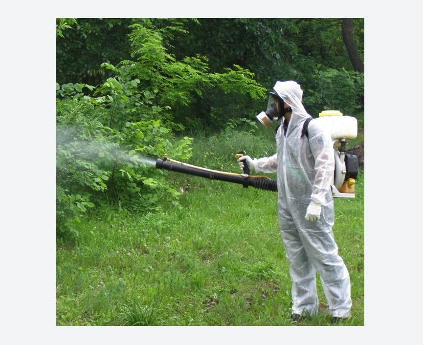 обработка дачи от клещей обработка территории от клещей Тимирязевская метро Москвы