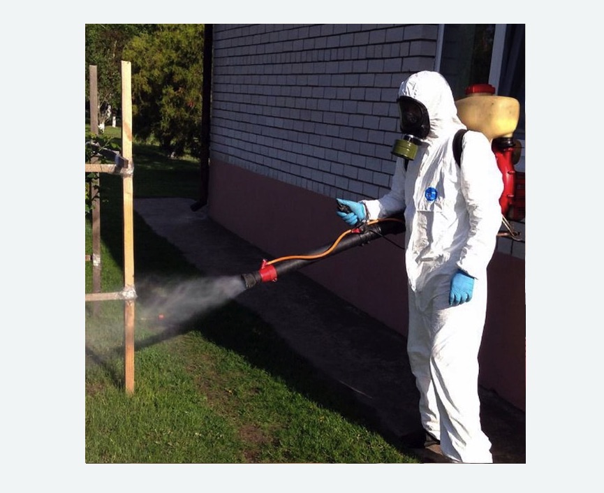 уничтожение клещей на участке травля клещей на участке Тимирязевская метро Москвы