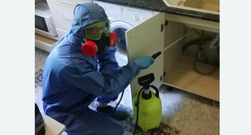 Уничтожение муравьев в квартире. Тимирязевская