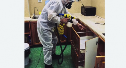 Дезинсекция квартиры. Тимирязевская