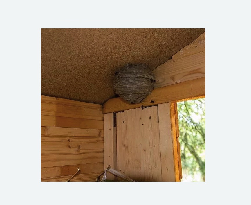 Обработка от ос Тимирязевская метро Москвы Обработка от ос