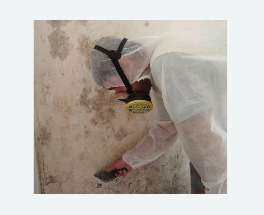 Обработка стен от плесени Тимирязевская метро Москвы