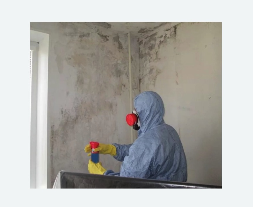 Удаление плесени в квартире Тимирязевская метро Москвы