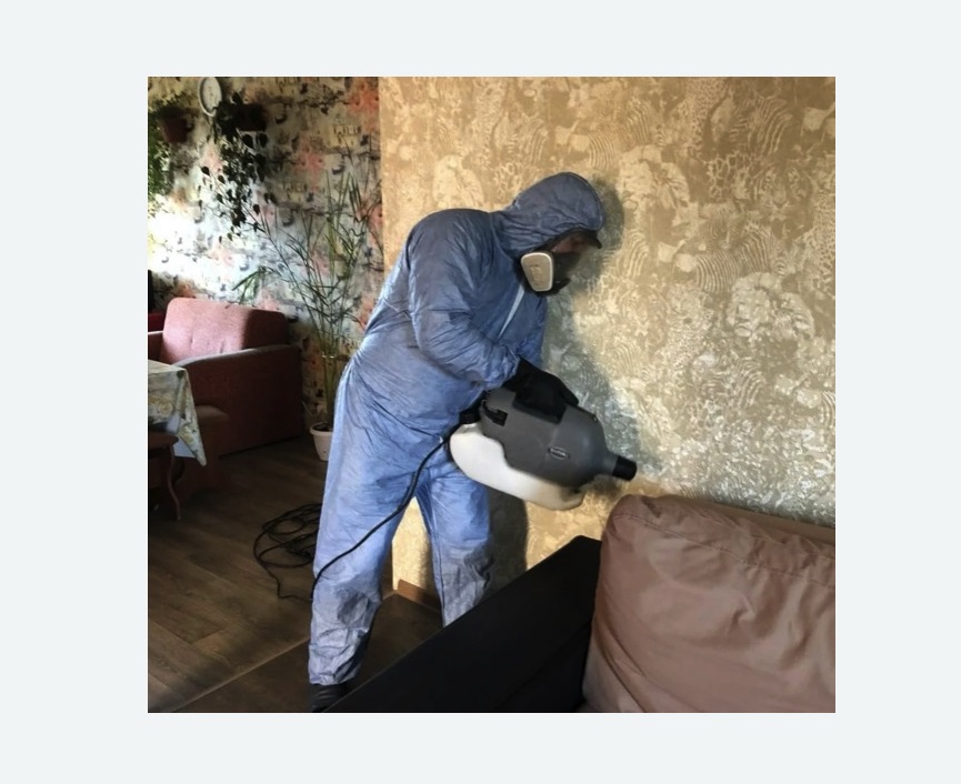 Уничтожение блох в квартире. Тимирязевская Уничтожение блох в квартире