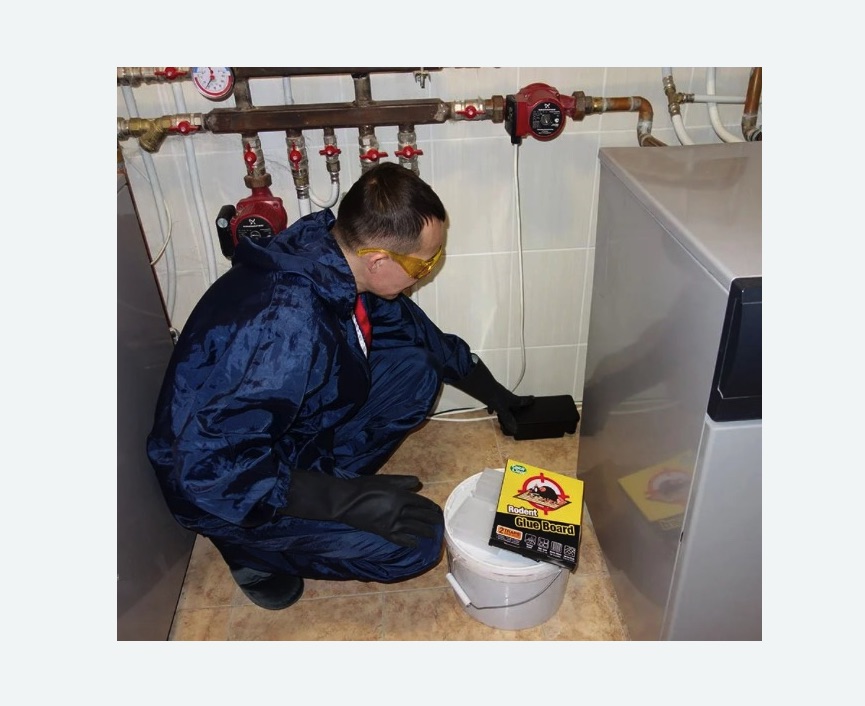 Уничтожение крыс Тимирязевская метро Москвы