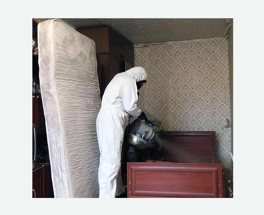 дезинфекция от клопов дезинфекция от клопов Тимирязевская метро Москвы