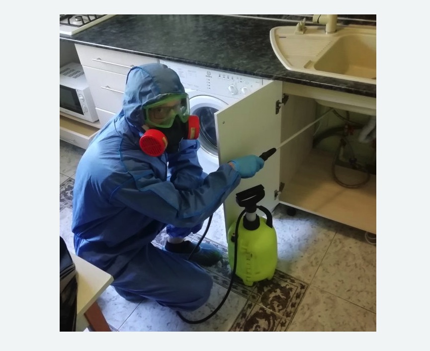 обработка от муравьев в квартире обработка от муравьев в квартире Тимирязевская метро Москвы