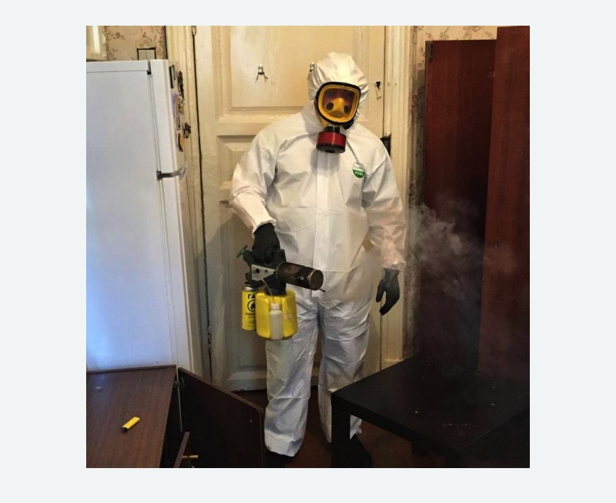 уничтожение муравьев в квартире уничтожение муравьев в квартире Тимирязевская метро Москвы